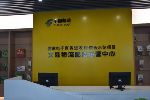 隴南市電商發(fā)展局局長(zhǎng)劉粉梅一行考核文縣電子商務(wù)工作并開(kāi)展業(yè)務(wù)指導(dǎo)