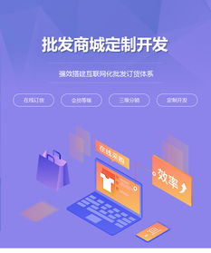 批發商城定制開發 批發商城網站制作 在線批發商城平臺建設 江門析客