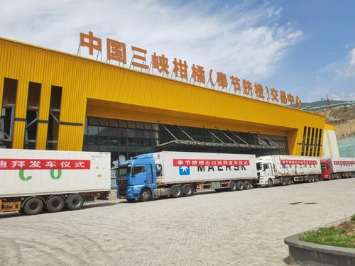 金橙飄香拓眼界 重慶奉節品牌添翼，促產業煥發新機