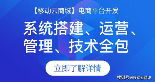 大型商城定制開(kāi)發(fā)周期全解析